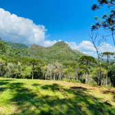 Terreno a Venda - Com gua Corrente - Excelente Localizao 