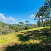 Terreno a Venda - Com gua Corrente - Excelente Localizao 