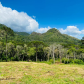 Terreno a Venda - Com gua Corrente - Excelente Localizao 