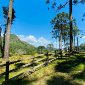 Terreno a Venda - Com gua Corrente - Excelente Localizao 