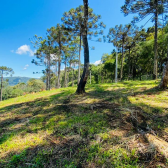 Terreno a Venda - Com gua Corrente - Excelente Localizao 