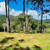 Terreno a Venda - Com gua Corrente - Excelente Localizao 