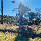 Terreno a Venda com gua corrente - Urubici - Serra Catarinense