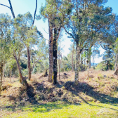 Terreno a Venda com gua corrente - Urubici - Serra Catarinense