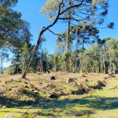 Terreno a Venda com gua corrente - Urubici - Serra Catarinense