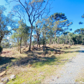 Terreno a Venda com gua corrente - Urubici - Serra Catarinense