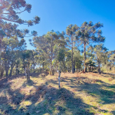 Terreno a Venda com gua corrente - Urubici - Serra Catarinense