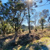 Terreno a Venda com gua corrente - Urubici - Serra Catarinense