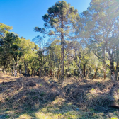 Terreno a Venda com gua corrente - Urubici - Serra Catarinense