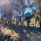 Terreno a Venda com gua corrente - Urubici - Serra Catarinense