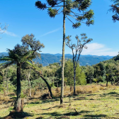 Terreno  Venda com Casa - Santa Tereza