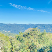 Terreno  Venda com Casa - Santa Tereza