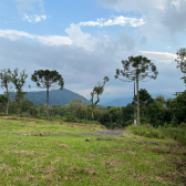 Terreno  Venda com Casa - Santa Tereza