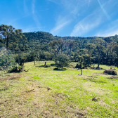 Terreno  Venda com Casa - Santa Tereza