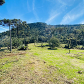 Terreno  Venda com Casa - Santa Tereza