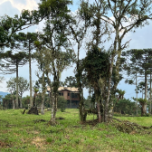 Terreno  Venda com Casa - Santa Tereza