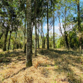 Terreno a Venda - com Excelente Localizao - Serra Catarinense