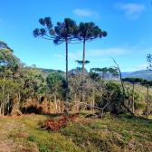 Terreno  Venda com Pr do Sol -  Urubici - Serra Catarinense 