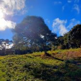 Terreno  Venda com Pr do Sol -  Urubici - Serra Catarinense 