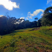 Terreno  Venda com Pr do Sol -  Urubici - Serra Catarinense 