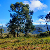 Terreno  Venda com Pr do Sol -  Urubici - Serra Catarinense 