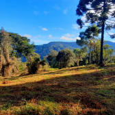 Terreno  Venda com Pr do Sol -  Urubici - Serra Catarinense 