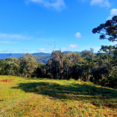 Terreno  Venda com Pr do Sol -  Urubici - Serra Catarinense 