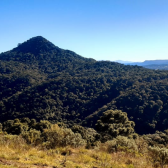 Terreno a Venda com Pr do Sol - Urubici - Serra Catarinense 