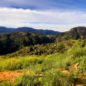 Terreno a Venda com Pr do Sol - Urubici - Serra Catarinense 