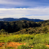 Terreno a Venda com Pr do Sol - Urubici - Serra Catarinense 