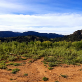 Terreno a Venda com Pr do Sol - Urubici - Serra Catarinense 