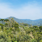 Terreno  Venda - Consolao - Vista das Montanhas e Pr do Sol