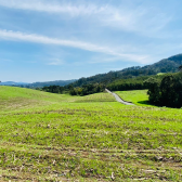 Terreno  Venda - Consolao - Vista das Montanhas e Pr do Sol