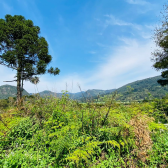 Terreno  Venda - Consolao - Vista das Montanhas e Pr do Sol