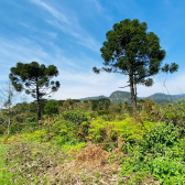 Terreno  Venda - Consolao - Vista das Montanhas e Pr do Sol