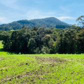 Terreno  Venda - Consolao - Vista das Montanhas e Pr do Sol