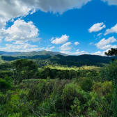 Terreno a Venda - Crioulas - com Linda Vista das Montanhas 