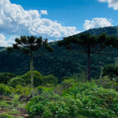 Terreno a Venda - Crioulas - com Linda Vista das Montanhas 