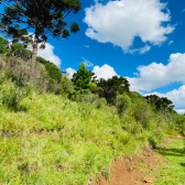 Terreno a Venda - Crioulas - com Linda Vista das Montanhas 