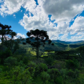 Terreno a Venda - Crioulas - com Linda Vista das Montanhas 