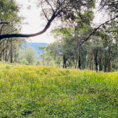 Terreno a Venda - Excelente Localizao - Baiano