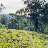 Terreno a Venda - Excelente Localizao - Baiano