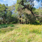 Terreno a Venda - Excelente Localizao - Baiano