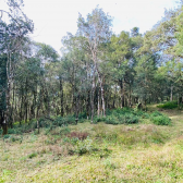 Terreno a Venda - Excelente Localizao - Baiano