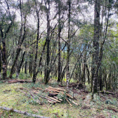 Terreno a Venda - Excelente Localizao - Baiano