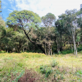 Terreno a Venda - Excelente Localizao - Baiano