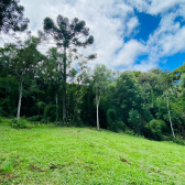 Terreno a Venda - Excelente Localizao - Serra Catarinense 