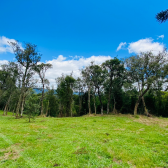 Terreno a Venda - Excelente Localizao - Serra Catarinense 