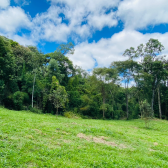 Terreno a Venda - Excelente Localizao - Serra Catarinense 