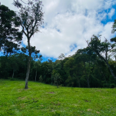 Terreno a Venda - Excelente Localizao - Serra Catarinense 